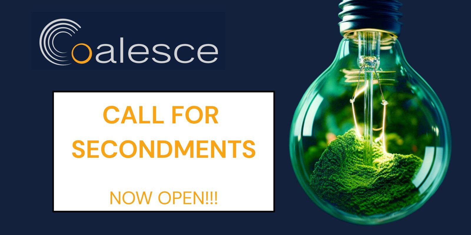 Coalesce Secondments (2)